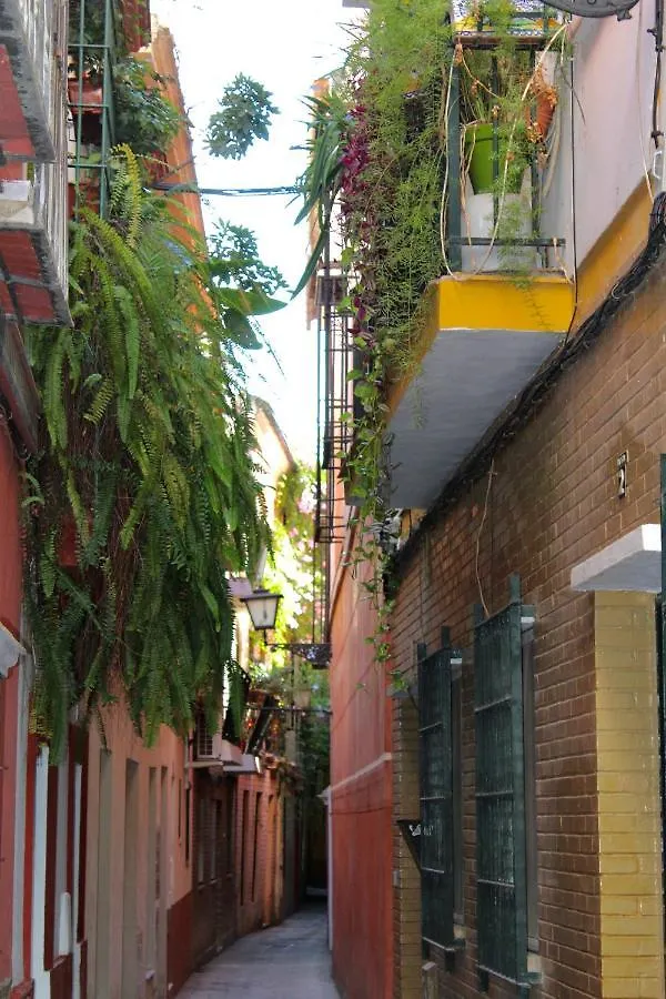 Green Street Apartment Seville